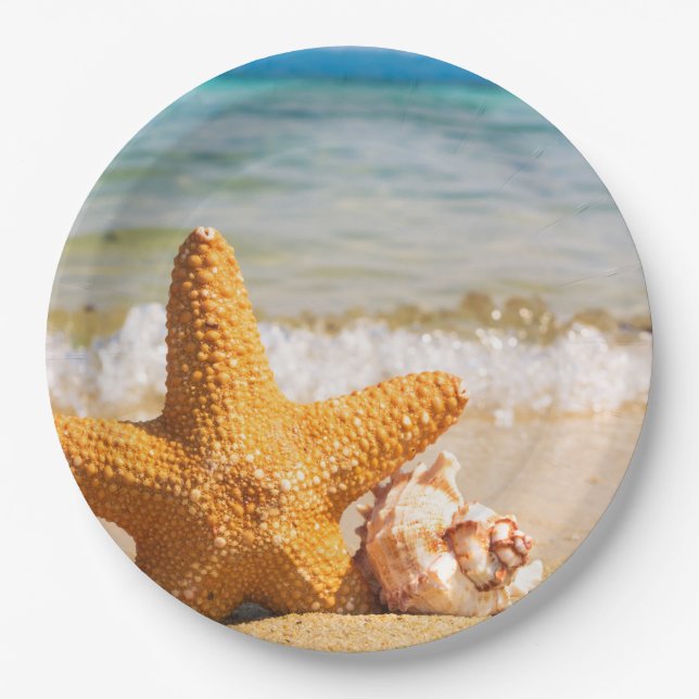 Plato De Papel Starfish and Seashells en la playa (Anverso)