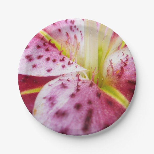 Plato De Papel Stargazer Lily Bright Magenta Floral (Anverso)