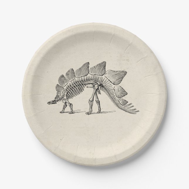 Plato De Papel Stegosaurus Dinosaur Skeleton Fossil (Anverso)