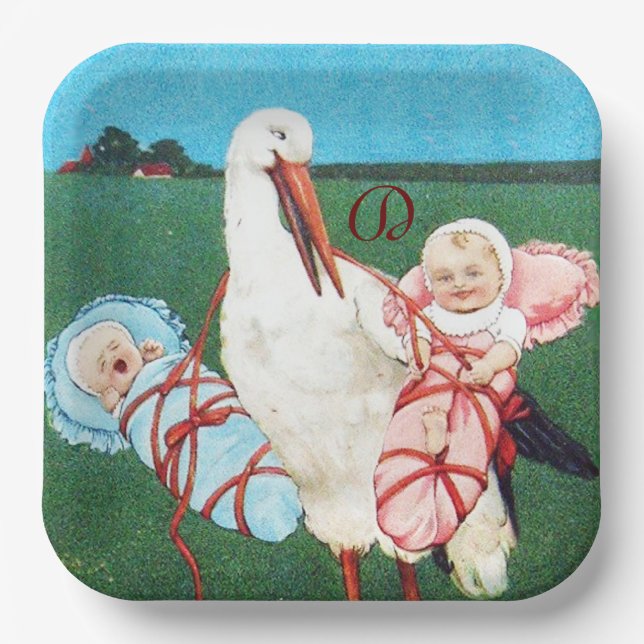PLATO DE PAPEL STORK TWIN BABY SHOWER MONOGRAM (Anverso)