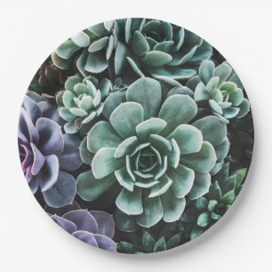 Plato De Papel Suculentas plantas verdes naturaleza
