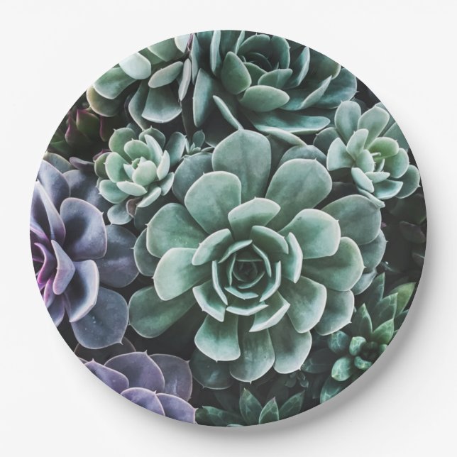 Plato De Papel Suculentas plantas verdes naturaleza (Anverso)