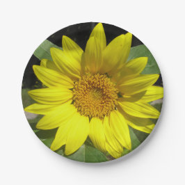 Plato De Papel Sunflower