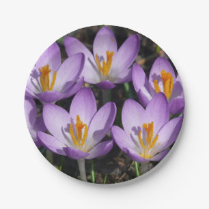 Plato De Papel Sunny Purple Crocuses