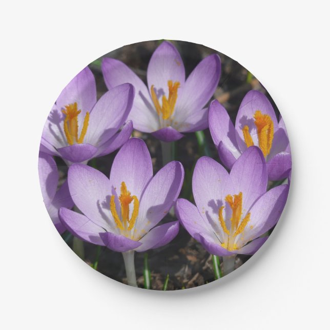Plato De Papel Sunny Purple Crocuses (Anverso)