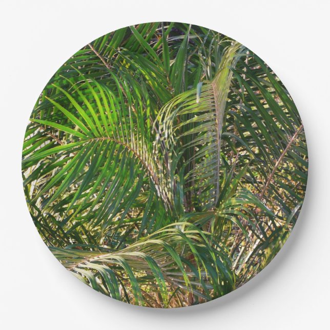 Plato De Papel Sunset Lit Palm Fronds Tropical (Anverso)