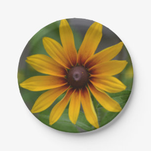 Plato De Papel Susan Paper Plate