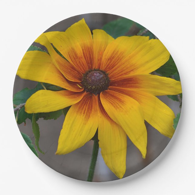 Plato De Papel Susan Paper Plate (Anverso)