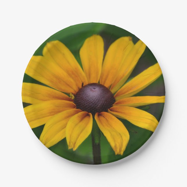 Plato De Papel Susan Paper Plate (Anverso)