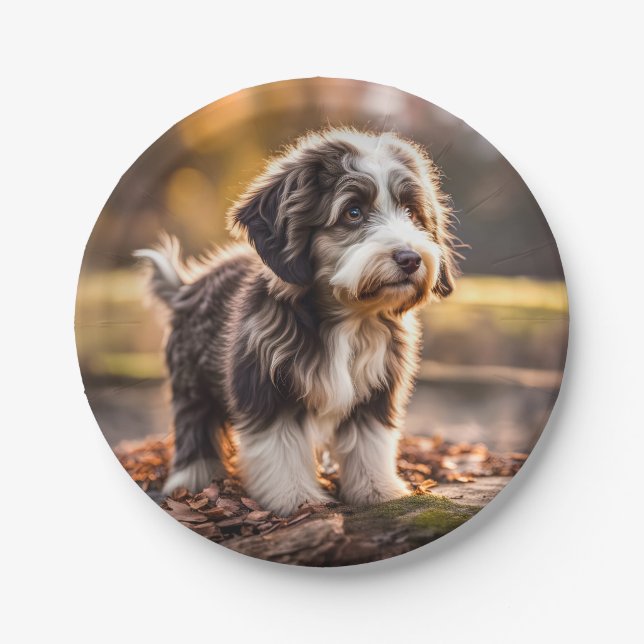 Plato De Papel Süßer Aussiedoodle Welpe (Anverso)