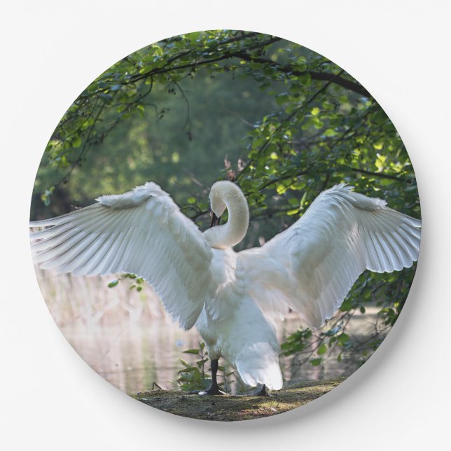 Plato De Papel Swan con alas extendidas (Anverso)