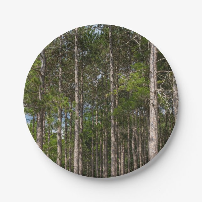 Plato De Papel Tall Pines (Anverso)