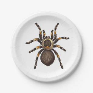 Plato De Papel Tarantula