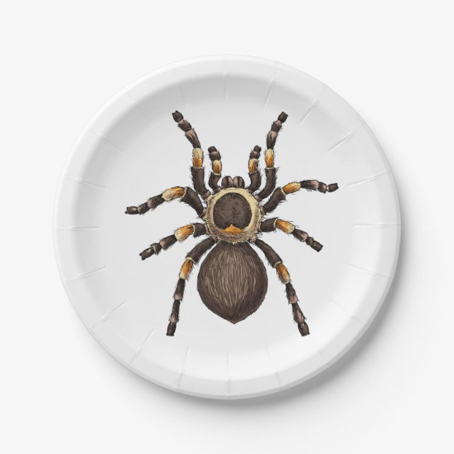 Plato De Papel Tarantula (Anverso)