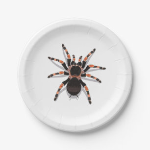Plato De Papel Tarantula