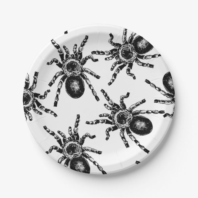 Plato De Papel Tarantula (Anverso)