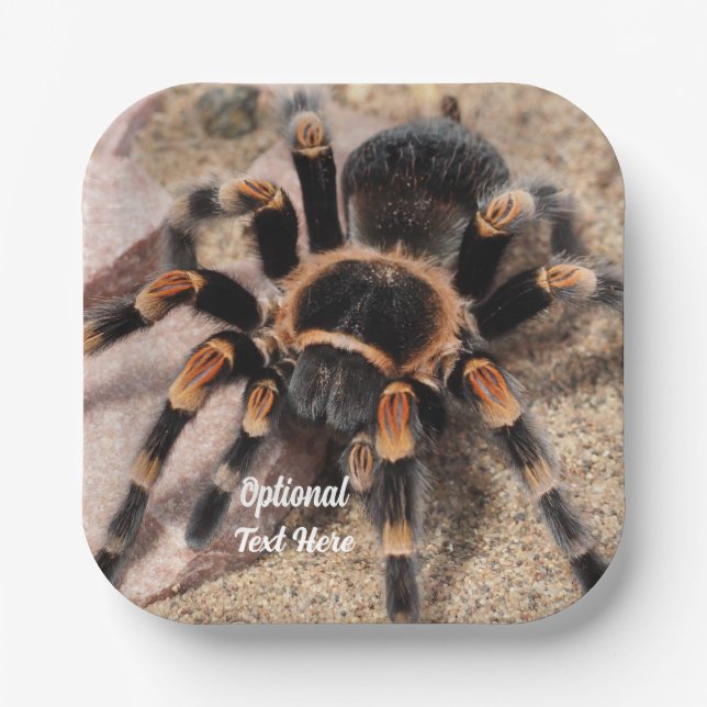 Plato De Papel Tarantula Spider (Anverso)