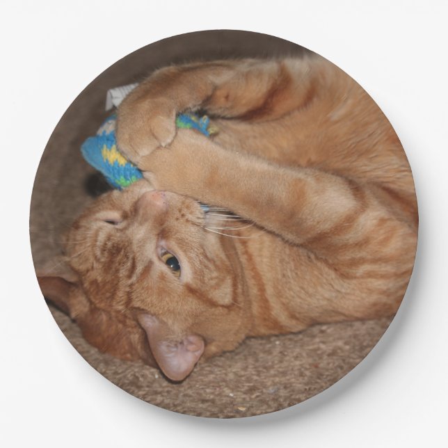 Plato De Papel Tater (Anverso)