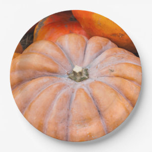 Plato De Papel Temporada de calabaza