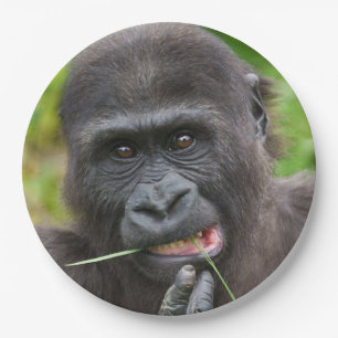 Plato De Papel Tentabilidad del gorila del bebé