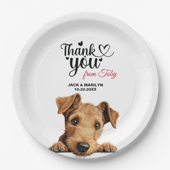 Plato De Papel Terrier de Lakeland (Anverso)