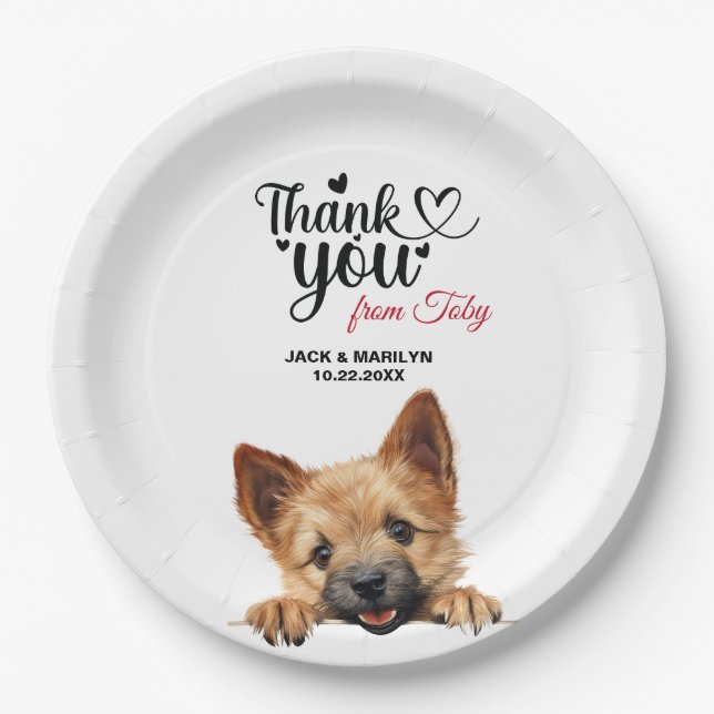 Plato De Papel Terrier de Norwich (Anverso)