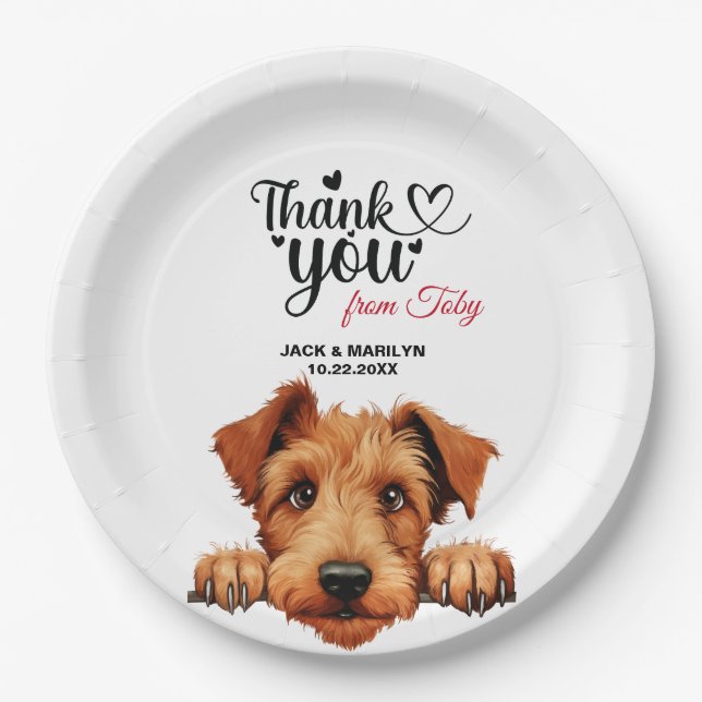 Plato De Papel Terrier irlandés (Anverso)