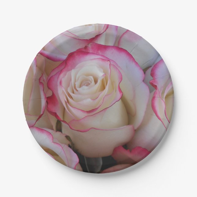 Plato De Papel Thamar (Anverso)