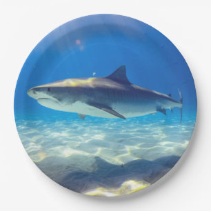Plato De Papel Tiburón nadando en aguas del océano azul