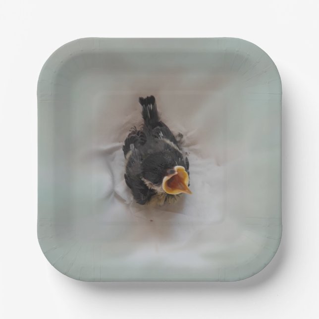 Plato De Papel Tidi my Bird the Parus Major (Anverso)