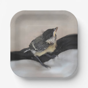 Plato De Papel Tidi my Bird the Parus Major