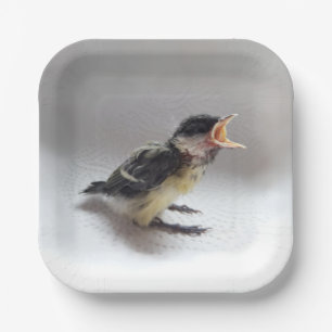 Plato De Papel Tidi my Bird the Parus Major