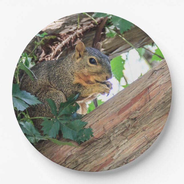 Plato De Papel Tiempo del bocado (Anverso)