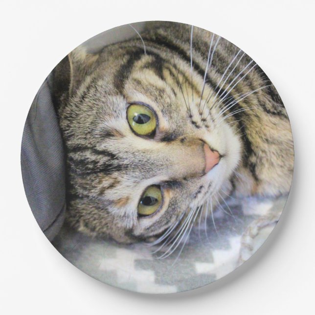 Plato De Papel Tigre (Anverso)