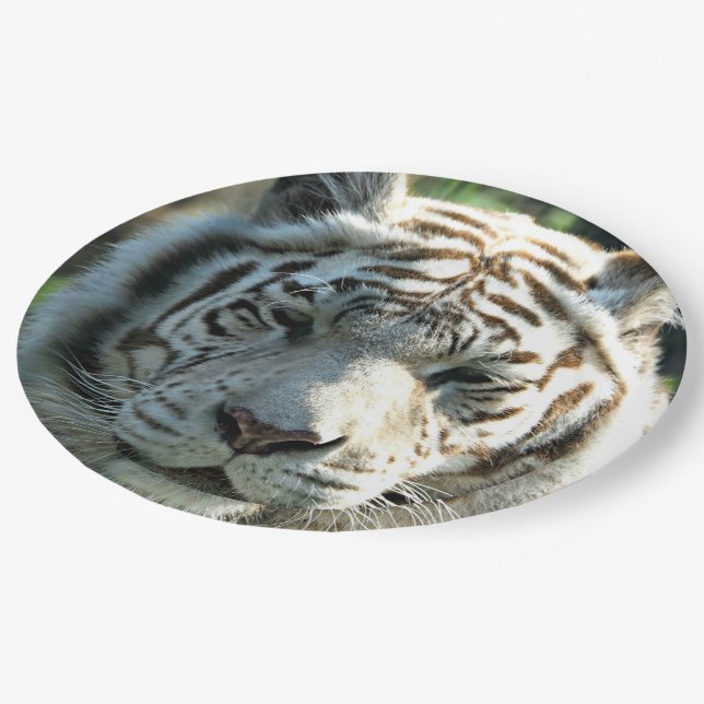 Plato De Papel Tigre blanco (Angular)