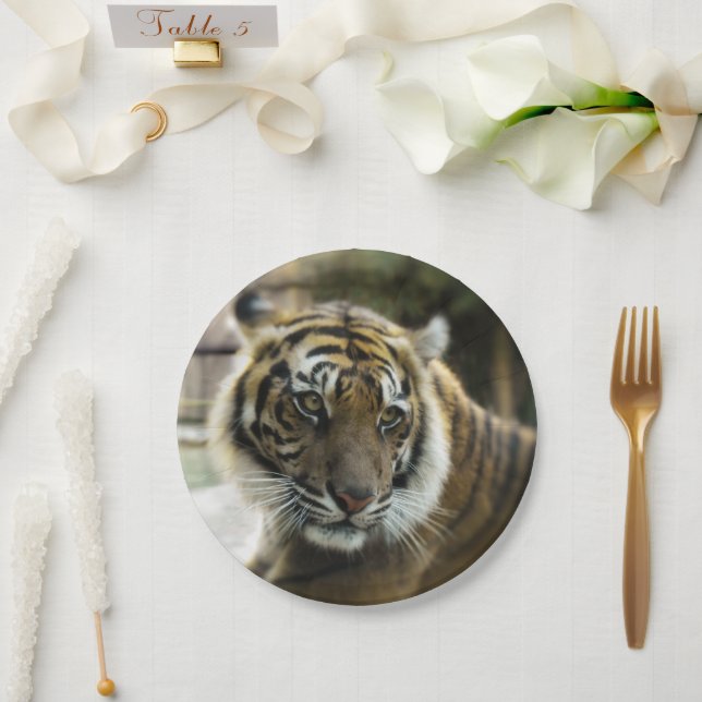 Plato De Papel Tigre de Bengala (Boda)