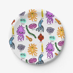 Plato De Papel Tipos De Bacterias