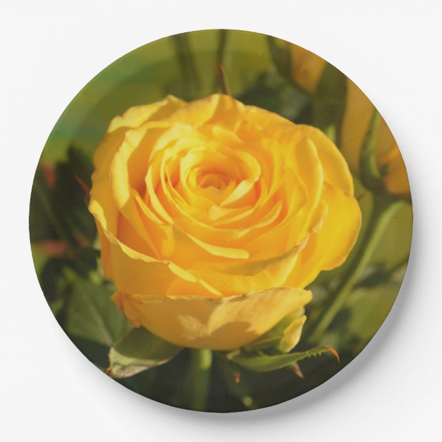 Plato De Papel Tómate tiempo para oler la rosa amarilla (Anverso)
