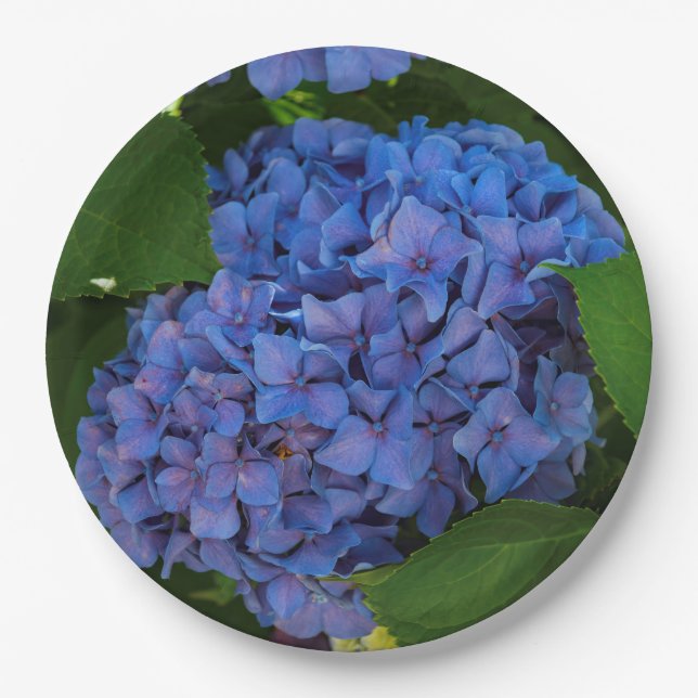 Plato De Papel Tonos Azules - La Hydrangea Azul (Anverso)
