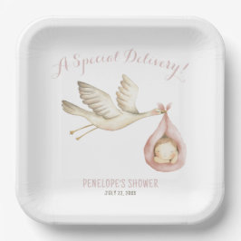Plato De Papel Tormenta de parto especial Niña Rosa Baby Shower