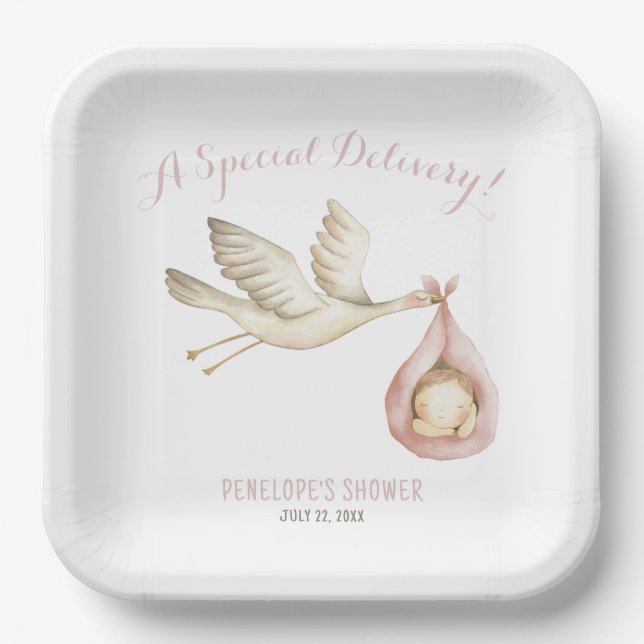 Plato De Papel Tormenta de parto especial Niña Rosa Baby Shower (Anverso)