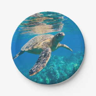 Plato De Papel Tortuga de mar de la natación
