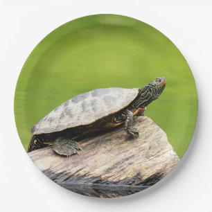 Plato De Papel Tortuga pintada en un tronco