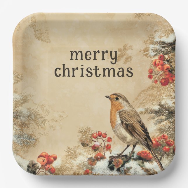 Plato De Papel Traditional European Robin Christmas Holiday (Anverso)