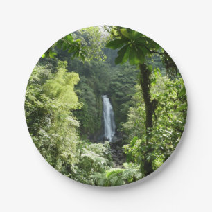 Plato De Papel Trafalgar cae fotografía tropical de selva tropica