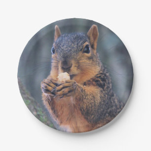 Plato De Papel ¿Trajiste café?