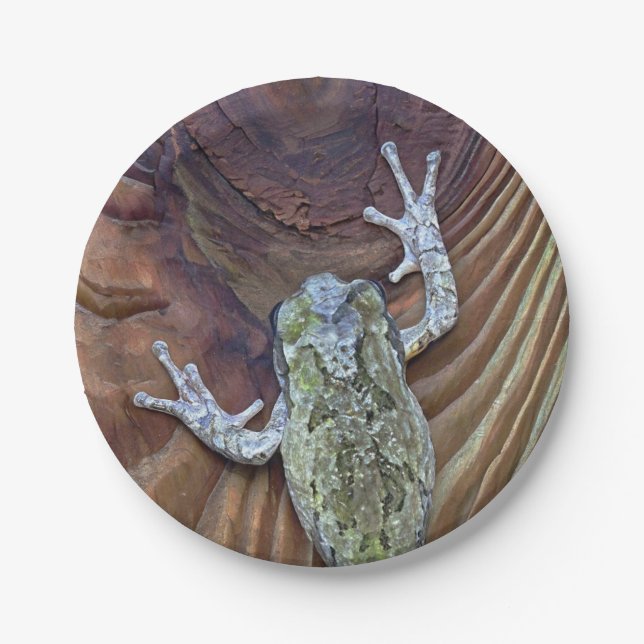Plato De Papel Treefrog en la cerca de Cedar (Anverso)