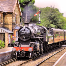 PLATO DE PAPEL TRENES DE VAPOR