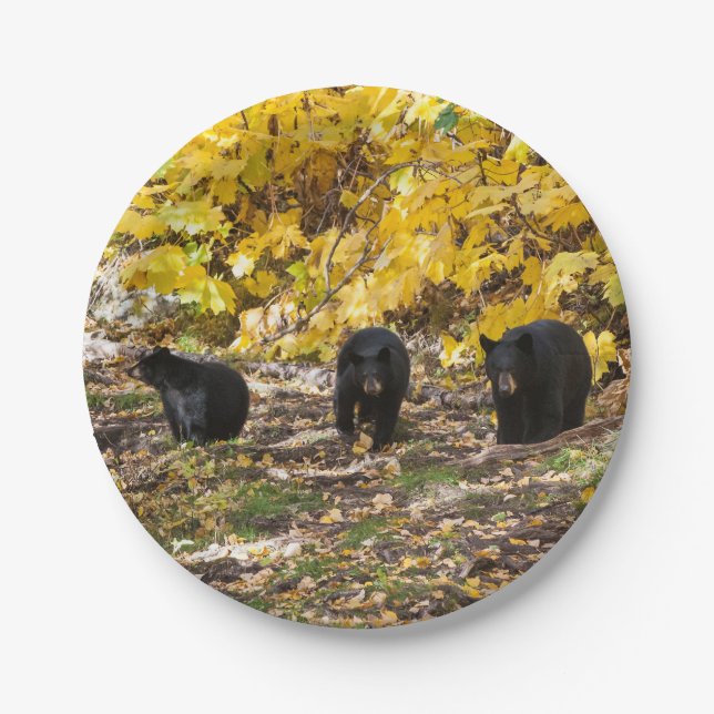 Plato De Papel Tres Baños (Anverso)