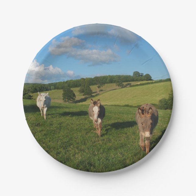 Plato De Papel Tres burros en un campo (Anverso)